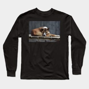 Dingo Long Sleeve T-Shirt